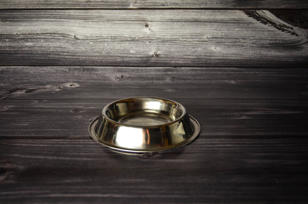 Pet Bowl feedの写真素材