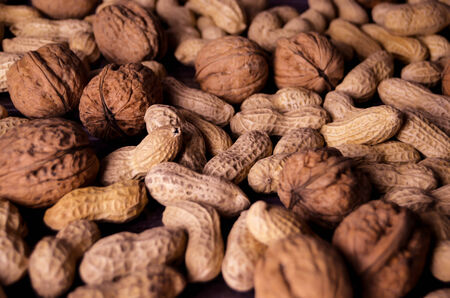 Nuts Walnuts Peanutsの写真素材