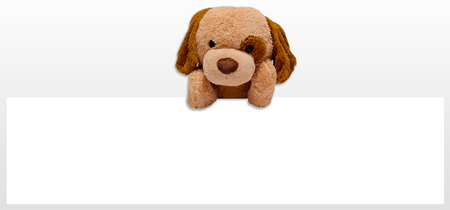 teddy dog toyの写真素材