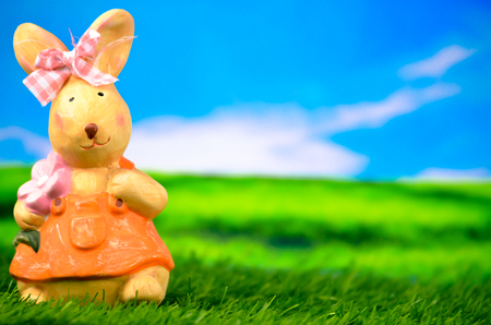 Easter bunny on a meadowの写真素材