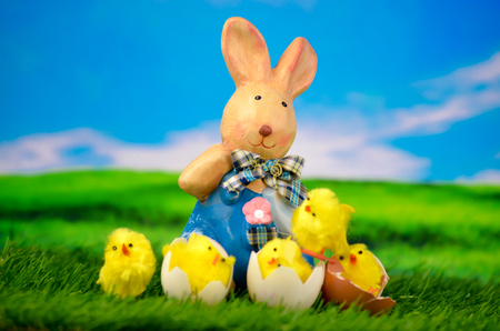 Easter Bunny with Chick Happy Easter Eggの写真素材