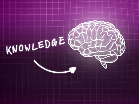 knowledge brain background knowledge science blackboard pink lightの写真素材