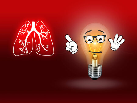 Lung Biology Organ Medicine Study Human redの写真素材
