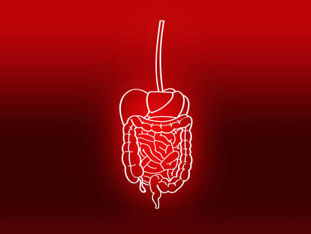 stomach intestinal digestive pain graphic illustration redの写真素材