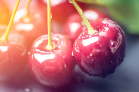 fresh cherries close up cherry sweet fruits summerの写真素材