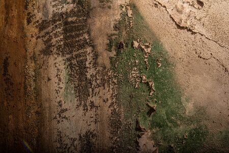 Dark brown background concrete texture wall grunge rust rustyの写真素材