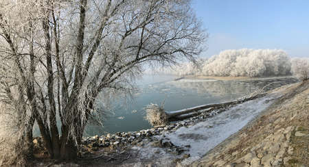 Confluence of Morava and Danube rivers in winter.  Devin, borough of Bratislava, the capital of Slovakia. Winter 2017.の写真素材