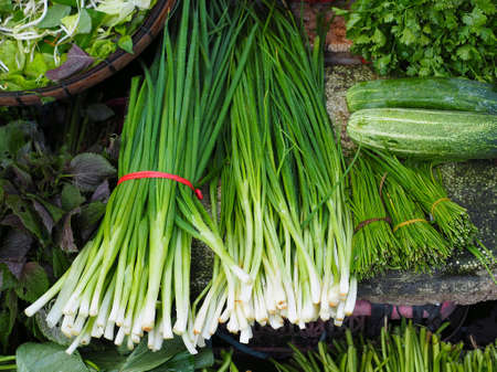 Fresh green vegetable and herbs in the market. Green onion, cucumber, parsley and mint.の写真素材