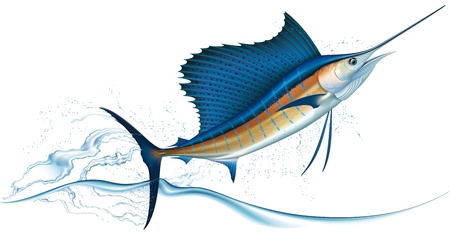 Sailfish jumping out of water  Realistic vector illustration のイラスト素材