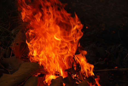 Fire