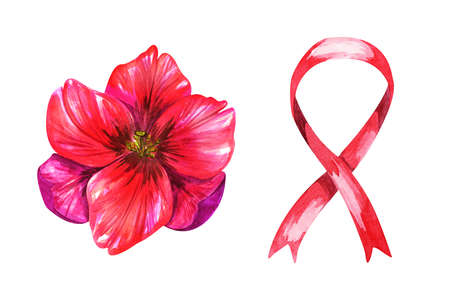 Watercolor red tulip and ribbon showing breast cancer.の写真素材