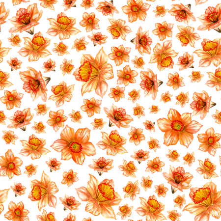 Watercolor daffodil, daffodil illustration, seamless pattern with colors.の写真素材