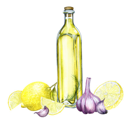 Watercolor hand drawing, oil in a bottle. Olive branch, garlic and lemon. Design for invitations, cards, packaging, fabric and paper.の写真素材