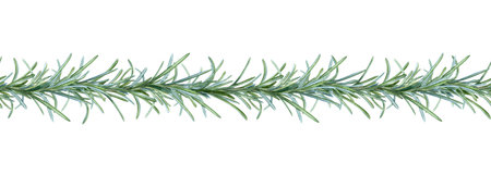 Rosemary branch border, hand drawing, spice food. Frame, banner for postcard design, packaging, kraft paper, fabric for the kitchen.の写真素材