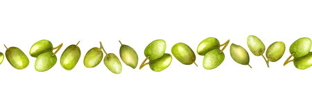 Border seamless, frame, olive berry banner, watercolor illustration. The drawing is isolated. Design for postcards, packaging, fabrics for the kitchen and the restaurant.の写真素材