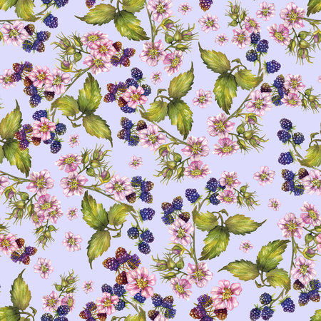 Seamless pattern, watercolor hand drawing, blackberries, berries, flowers and leaves. Pattern for the design of gifts, postcards and packaging, fabric.の写真素材