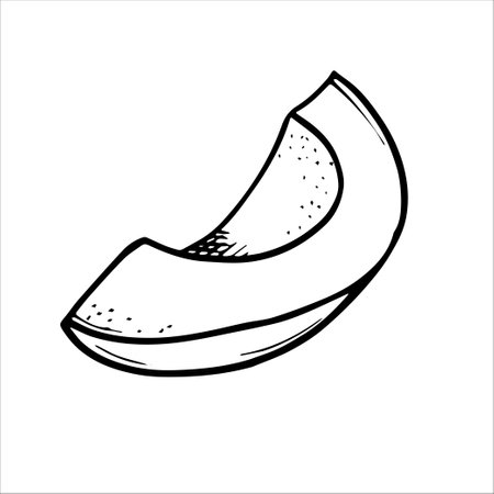 Graphic drawing of a ripe avocado. Vector. Green avocado fruits, healthy nutritious natural food and hand drawing of avocado slices. Green avocado, tropical vegan food, exotic healthy cuisine.のイラスト素材