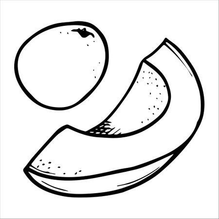 Graphic drawing of a ripe avocado. Vector. Green avocado fruits, healthy nutritious natural food and hand drawing of avocado slices. Green avocado, tropical vegan food, exotic healthy cuisine.のイラスト素材