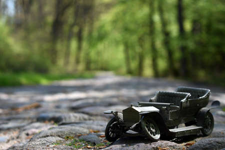 Old forest pavement road.の写真素材