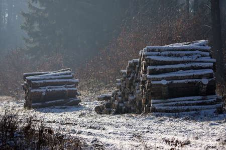 Wood piles prepared for transport.