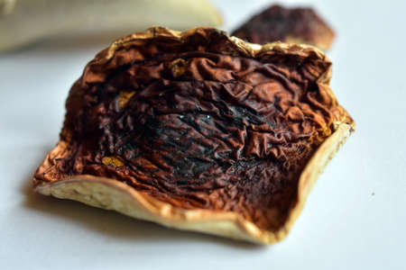 Dried mushrooms. Boletus edulis.の写真素材