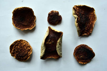 Dried mushrooms. Boletus edulis.の写真素材