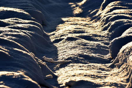 Snow drifts formed on the ward prepared for planting forest seedlings.の写真素材