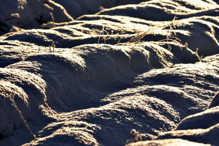 Snow drifts formed on the ward prepared for planting forest seedlings.の写真素材