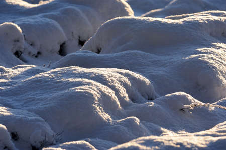 Snow drifts formed on the ward prepared for planting forest seedlings.の写真素材