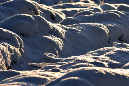 Snow drifts formed on the ward prepared for planting forest seedlings.の写真素材