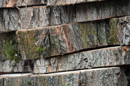 Wooden slices.