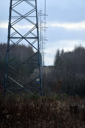 Power line.の写真素材