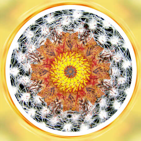 Mandala Circle Wheel in Black, White and Yellow Colors with Meditation Spiral Illustrationの写真素材