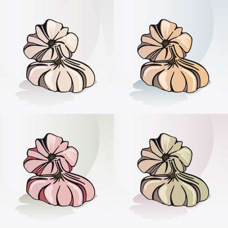 Garlic - Vegetable 4 Original Hand Drawn Illustrations on different Backgrounds - Natural and Healthy Food Iconのイラスト素材