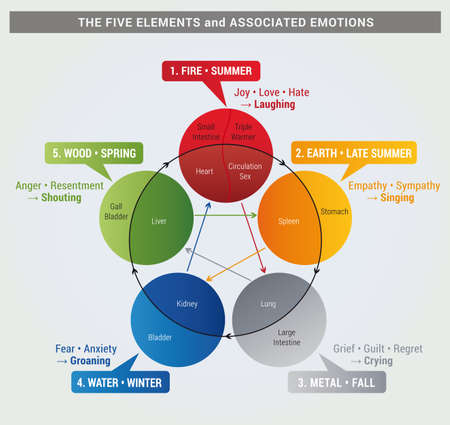 5 Elements Diagram with Organs and associated Emotions, Health, Natural Health and Chinese Medicine, Cycle of Life, 4 Seasonsのイラスト素材