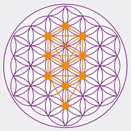 Flower of Life Symbol in Violet and Orange Colors, Cosmic Universe Energy Wheel, Tree of Sephiroth, Kabbalahのイラスト素材