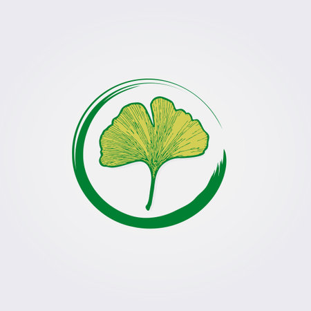 Ginkgo leaf vector icon. Hand drawn ginkgo illustration.のイラスト素材