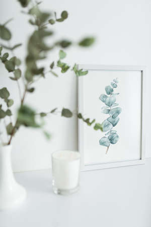 A branch of eucalyptus stands in a vase on a table. On the table a watercolor drawing in a frameの写真素材