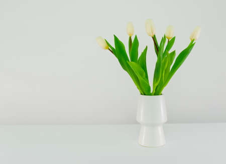 White tulips in a white vase on a white background with copy space