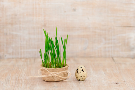 Easter egg on a rustic wooden background, next to a pot with greenery sprouts.の写真素材