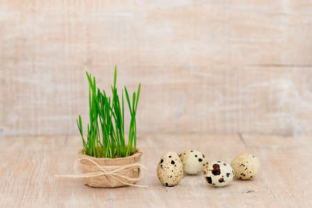 Easter eggs on a rustic wooden background, next to a pot with greenery sprouts.の写真素材