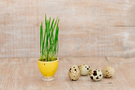 Easter eggs on a rustic wooden background, next to a pot with greenery sprouts.の写真素材