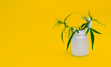White medical plastic jar with cannabis branches and leaves, with copy space. Medical cultivation and legalization of marijuana plant.の写真素材