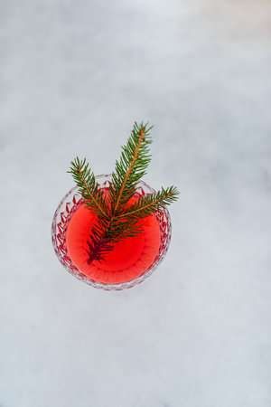 A spruce branch lies in a glass of red wine on the snow with copy space.の写真素材
