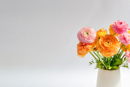 Multicolored bouquet of ranunculi in a vase on a white background with copy space. Floristry concept.の写真素材