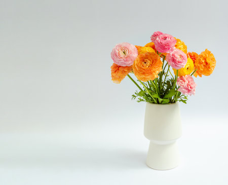 Multicolored bouquet of ranunculi in a vase on a white background with copy space. Floristry concept.の写真素材