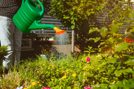 Watering flowers in the garden with a watering canの写真素材