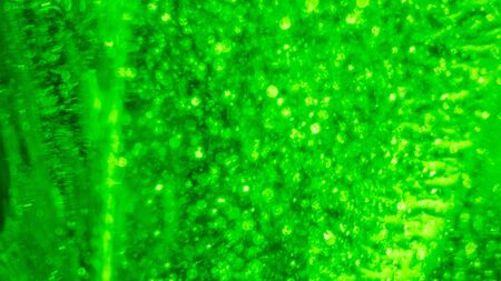 close up of water and oil with bubbles on green background Texture and Pattern.