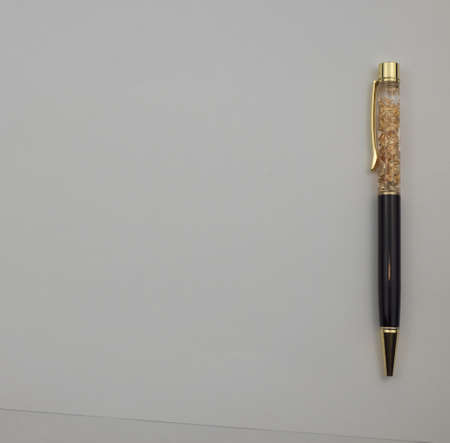 ballpoint pen on a white background. top view