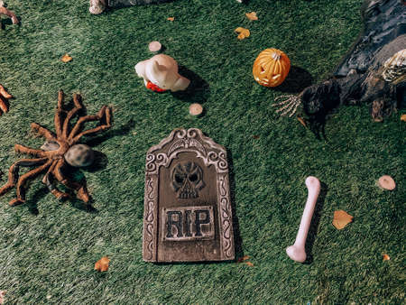 Halloween nightmare with scary skeleton, pumpkin in horror cemetery and spooky forest on pasture background for decoration.の写真素材